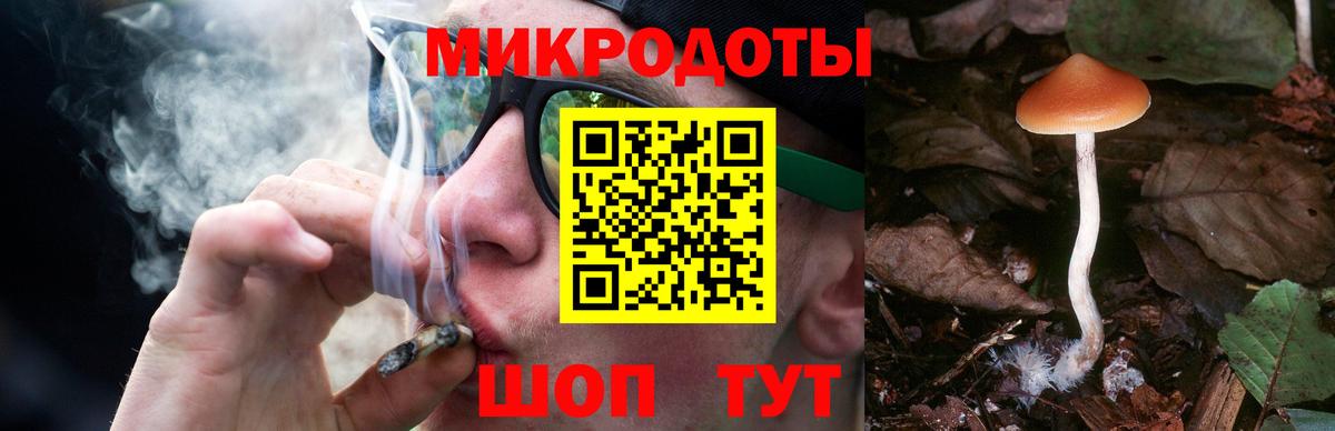 Псилоцибиновые грибы мицелий  купить  сайты  Вход с VPN  Павловский Посад  Псилоцибиновые грибы Cubensis 